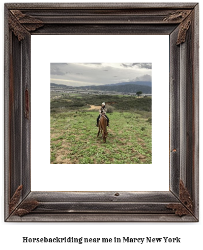 horseback riding near me in Marcy, New York